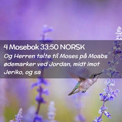 Picture 02 - 4 Mosebok 33:50 NORSK - Og Herren talte til Moses på Moabs ødemarker - Bible Verse Picture