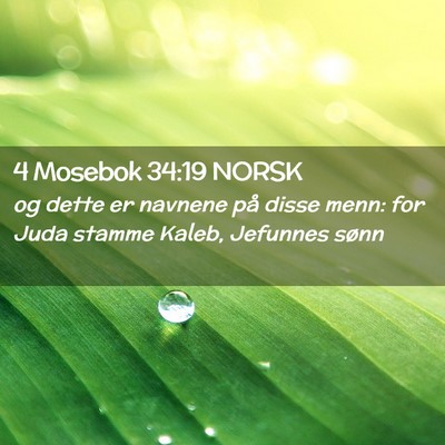 Picture 02 - 4 Mosebok 34:19 NORSK - og dette er navnene på disse menn: for Juda - Bible Verse Picture