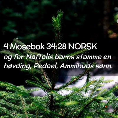 Picture 02 - 4 Mosebok 34:28 NORSK - og for Naftalis barns stamme en høvding, Pedael, - Bible Verse Picture