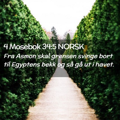 Picture 02 - 4 Mosebok 34:5 NORSK - Fra Asmon skal grensen svinge bort til Egyptens - Bible Verse Picture