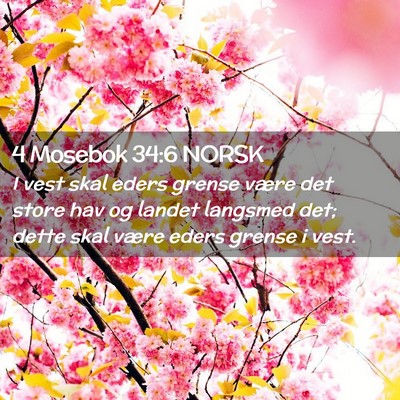 Picture 02 - 4 Mosebok 34:6 NORSK - I vest skal eders grense være det store hav og - Bible Verse Picture