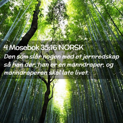Picture 02 - 4 Mosebok 35:16 NORSK - Den som slår nogen med et jernredskap så han - Bible Verse Picture