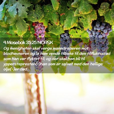 Picture 02 - 4 Mosebok 35:25 NORSK - Og menigheten skal verge manndraperen mot - Bible Verse Picture