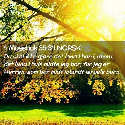Picture 02 - 4 Mosebok 35:34 NORSK - Du skal ikke gjøre det land I bor i, urent, det - Bible Verse Picture