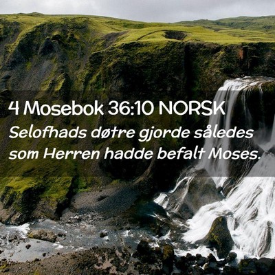 Picture 02 - 4 Mosebok 36:10 NORSK - Selofhads døtre gjorde således som Herren hadde - Bible Verse Picture