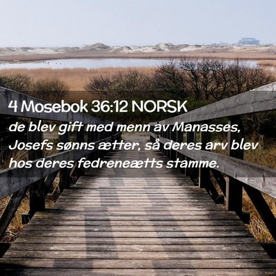 Picture 02 - 4 Mosebok 36:12 NORSK - de blev gift med menn av Manasses, Josefs sønns - Bible Verse Picture