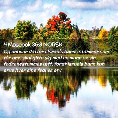 Picture 02 - 4 Mosebok 36:8 NORSK - Og enhver datter i Israels barns stammer som får - Bible Verse Picture