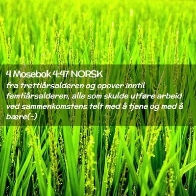 Picture 02 - 4 Mosebok 4:47 NORSK - fra trettiårsalderen og opover inntil - Bible Verse Picture