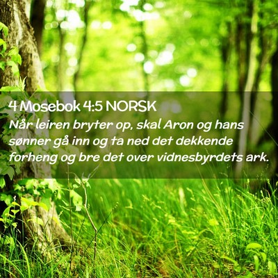 Picture 02 - 4 Mosebok 4:5 NORSK - Når leiren bryter op, skal Aron og hans sønner - Bible Verse Picture