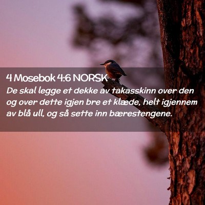 Picture 02 - 4 Mosebok 4:6 NORSK - De skal legge et dekke av takasskinn over den og - Bible Verse Picture