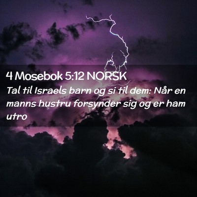 Picture 02 - 4 Mosebok 5:12 NORSK - Tal til Israels barn og si til dem: Når en manns - Bible Verse Picture