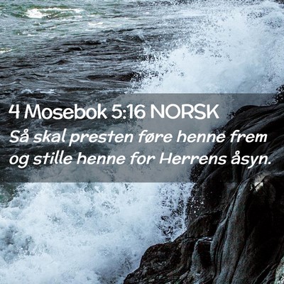 Picture 02 - 4 Mosebok 5:16 NORSK - Så skal presten føre henne frem og stille henne - Bible Verse Picture