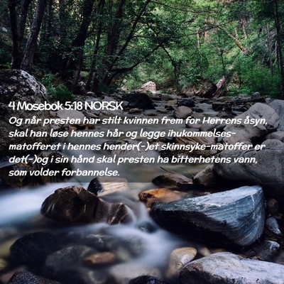 Picture 02 - 4 Mosebok 5:18 NORSK - Og når presten har stilt kvinnen frem for - Bible Verse Picture