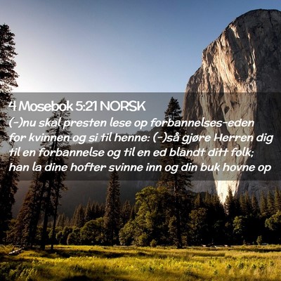 Picture 02 - 4 Mosebok 5:21 NORSK - (-)nu skal presten lese op forbannelses-eden for - Bible Verse Picture