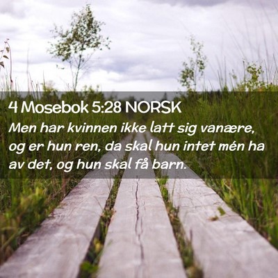 Picture 02 - 4 Mosebok 5:28 NORSK - Men har kvinnen ikke latt sig vanære, og er hun - Bible Verse Picture
