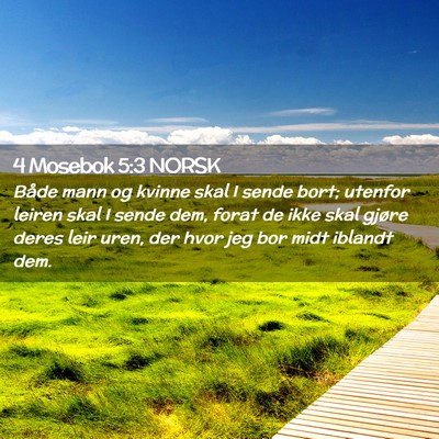 Picture 02 - 4 Mosebok 5:3 NORSK - Både mann og kvinne skal I sende bort; utenfor - Bible Verse Picture