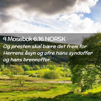 Picture 02 - 4 Mosebok 6:16 NORSK - Og presten skal bære det frem for Herrens åsyn - Bible Verse Picture
