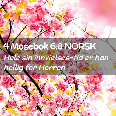 Picture 02 - 4 Mosebok 6:8 NORSK - Hele sin innvielses-tid er han hellig for - Bible Verse Picture