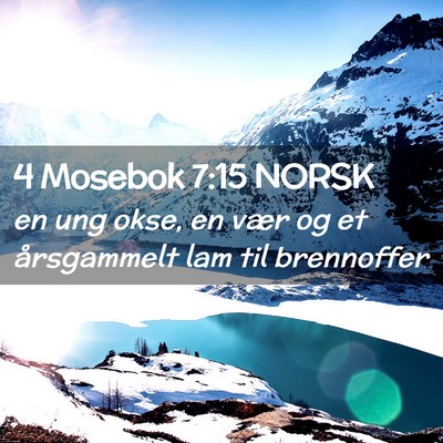 Picture 02 - 4 Mosebok 7:15 NORSK - en ung okse, en vær og et årsgammelt lam til - Bible Verse Picture