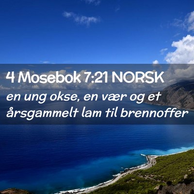 Picture 02 - 4 Mosebok 7:21 NORSK - en ung okse, en vær og et årsgammelt lam til - Bible Verse Picture