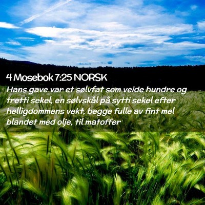 Picture 02 - 4 Mosebok 7:25 NORSK - Hans gave var et sølvfat som veide hundre og - Bible Verse Picture
