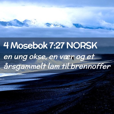 Picture 02 - 4 Mosebok 7:27 NORSK - en ung okse, en vær og et årsgammelt lam til - Bible Verse Picture