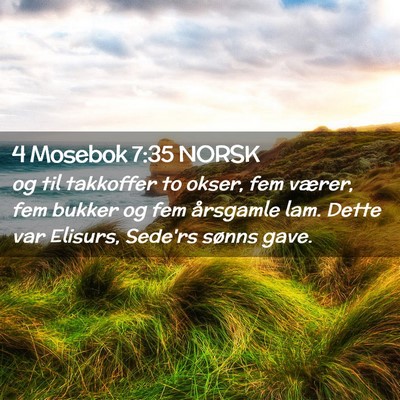 Picture 02 - 4 Mosebok 7:35 NORSK - og til takkoffer to okser, fem værer, fem bukker - Bible Verse Picture
