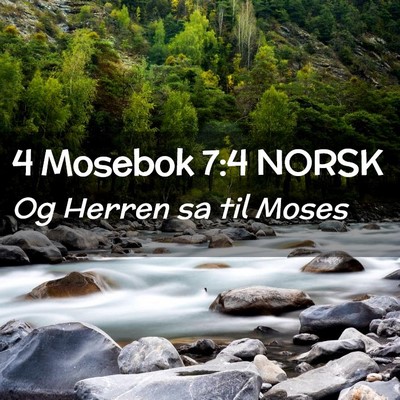 Picture 02 - 4 Mosebok 7:4 NORSK - Og Herren sa til - Bible Verse Picture