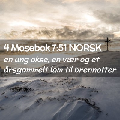 Picture 02 - 4 Mosebok 7:51 NORSK - en ung okse, en vær og et årsgammelt lam til - Bible Verse Picture