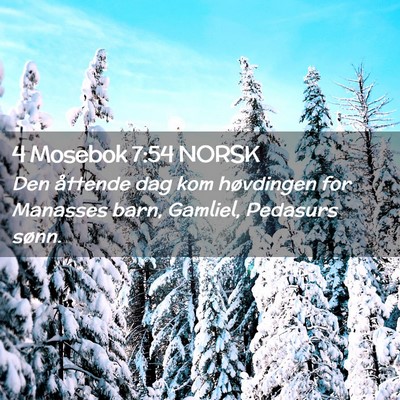 Picture 02 - 4 Mosebok 7:54 NORSK - Den åttende dag kom høvdingen for Manasses - Bible Verse Picture