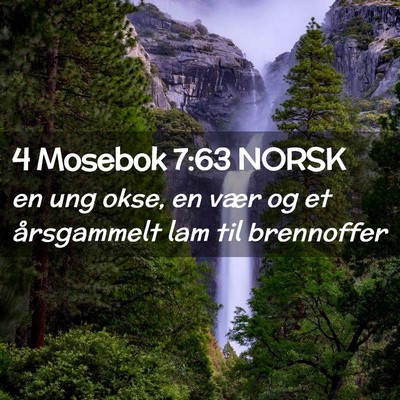 Picture 02 - 4 Mosebok 7:63 NORSK - en ung okse, en vær og et årsgammelt lam til - Bible Verse Picture