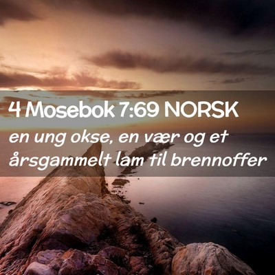 Picture 02 - 4 Mosebok 7:69 NORSK - en ung okse, en vær og et årsgammelt lam til - Bible Verse Picture