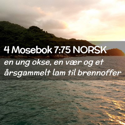Picture 02 - 4 Mosebok 7:75 NORSK - en ung okse, en vær og et årsgammelt lam til - Bible Verse Picture