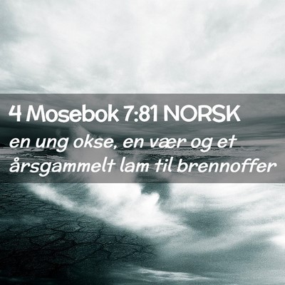 Picture 02 - 4 Mosebok 7:81 NORSK - en ung okse, en vær og et årsgammelt lam til - Bible Verse Picture