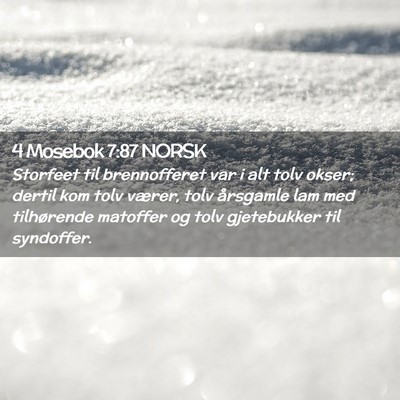 Picture 02 - 4 Mosebok 7:87 NORSK - Storfeet til brennofferet var i alt tolv okser; - Bible Verse Picture