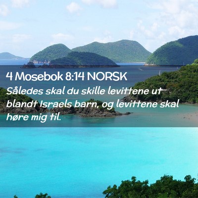Picture 02 - 4 Mosebok 8:14 NORSK - Således skal du skille levittene ut blandt - Bible Verse Picture
