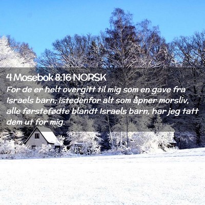 Picture 02 - 4 Mosebok 8:16 NORSK - For de er helt overgitt til mig som en gave fra - Bible Verse Picture