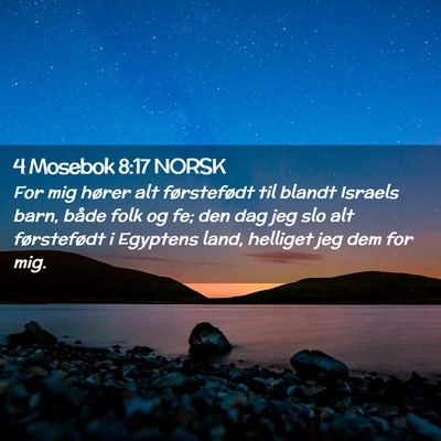 Picture 02 - 4 Mosebok 8:17 NORSK - For mig hører alt førstefødt til blandt - Bible Verse Picture
