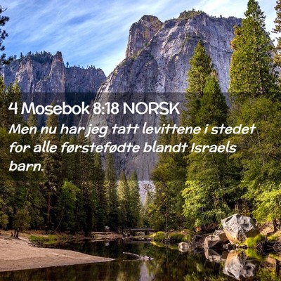Picture 02 - 4 Mosebok 8:18 NORSK - Men nu har jeg tatt levittene i stedet for alle - Bible Verse Picture