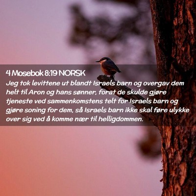 Picture 02 - 4 Mosebok 8:19 NORSK - Jeg tok levittene ut blandt Israels barn og - Bible Verse Picture