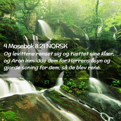 Picture 02 - 4 Mosebok 8:21 NORSK - Og levittene renset sig og tvettet sine klær, og - Bible Verse Picture