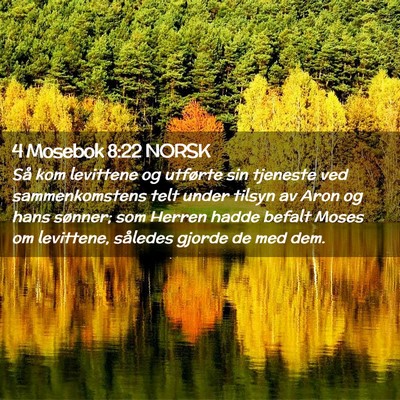 Picture 02 - 4 Mosebok 8:22 NORSK - Så kom levittene og utførte sin tjeneste ved - Bible Verse Picture