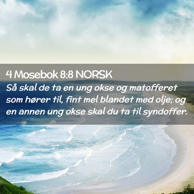 Picture 02 - 4 Mosebok 8:8 NORSK - Så skal de ta en ung okse og matofferet som - Bible Verse Picture