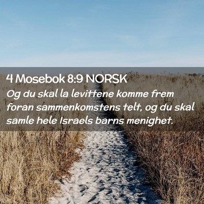 Picture 02 - 4 Mosebok 8:9 NORSK - Og du skal la levittene komme frem foran - Bible Verse Picture