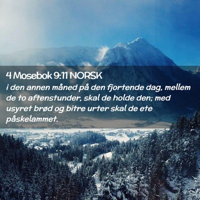 Picture 02 - 4 Mosebok 9:11 NORSK - i den annen måned på den fjortende dag, mellem - Bible Verse Picture