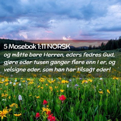 Picture 02 - 5 Mosebok 1:11 NORSK - og måtte bare Herren, eders fedres Gud, gjøre - Bible Verse Picture