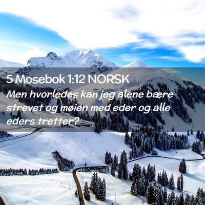 Picture 02 - 5 Mosebok 1:12 NORSK - Men hvorledes kan jeg alene bære strevet og - Bible Verse Picture