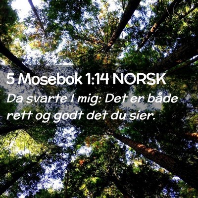 Picture 02 - 5 Mosebok 1:14 NORSK - Da svarte I mig: Det er både rett og godt det du - Bible Verse Picture