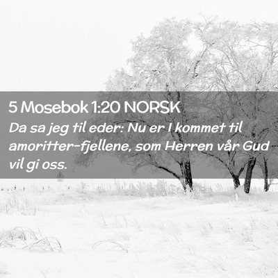 Picture 02 - 5 Mosebok 1:20 NORSK - Da sa jeg til eder: Nu er I kommet til - Bible Verse Picture