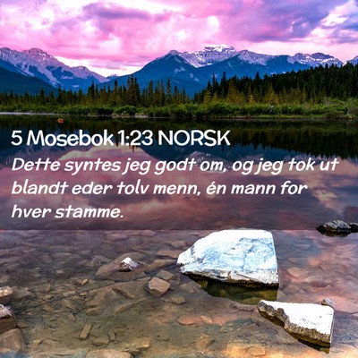 Picture 02 - 5 Mosebok 1:23 NORSK - Dette syntes jeg godt om, og jeg tok ut blandt - Bible Verse Picture